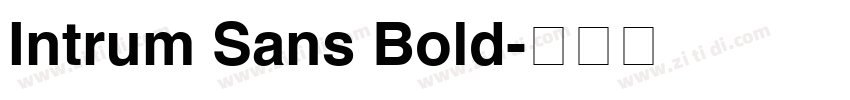 Intrum Sans Bold字体转换